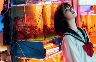 在河豚抚子的毛衣里寻找灵感：高质量图片资源