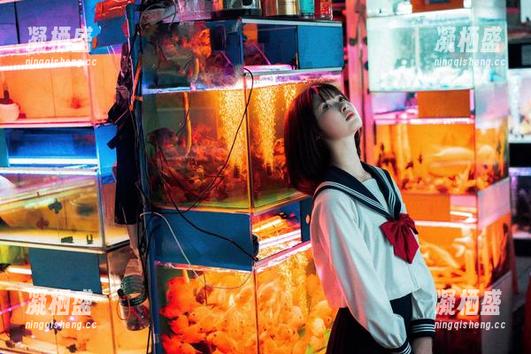 在河豚抚子的毛衣里寻找灵感：高质量图片资源